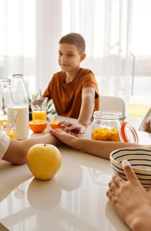 Principal fabricante