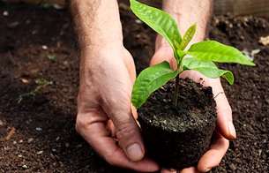 Preservamos áreas naturales para vivir mejor